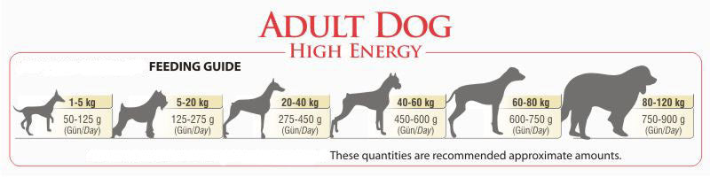 BonaCibo Adult High Energy