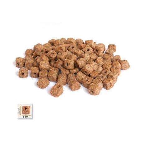 BonaCibo BonaCibo Adult/Senior/Over Weight Chicken Dog Mostra - imagine 2