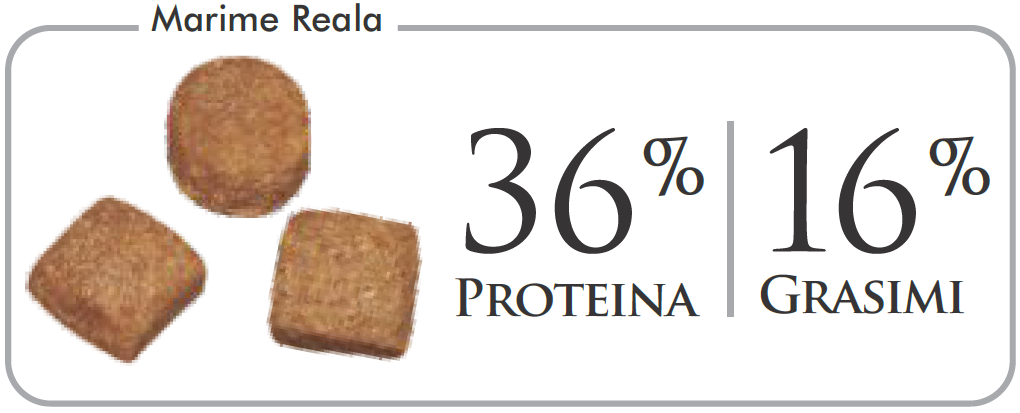 BonaCibo Adult Chicken&Rice with Anchovy