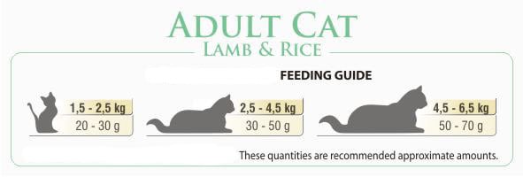 BonaCibo Adult Lamb&Rice