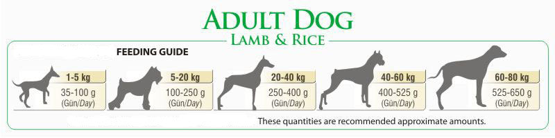 BonaCibo Adult Lamb&Rice