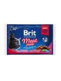 Brit Premium Brit Premium Cat Adult Carne Multipack(4x100g)