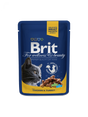 Brit Premium Brit Premium Cat Adult Pui si Curcan Plic