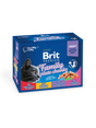 Brit Premium Brit Premium Cat Family Variety Plic(12 x 100g)