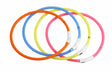 Pawise Pawise Zgarda Led 65 Cm - imagine 1