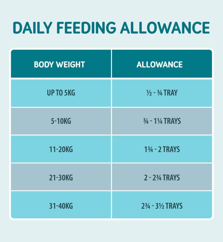 Naturo Caserola Naturo Adult Grain Free cu Carne de Somon, Cartofi si Legume 400g - imagine 3