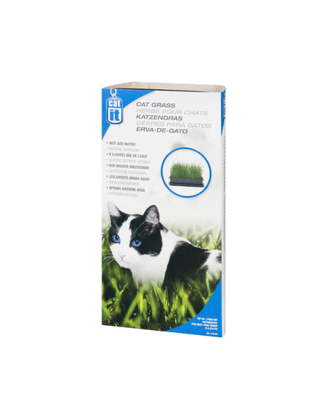 Catit Cat Grass