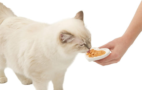 Catit Creamy Recompense Cremoase cu Somon si Creveti 4x10 Gr