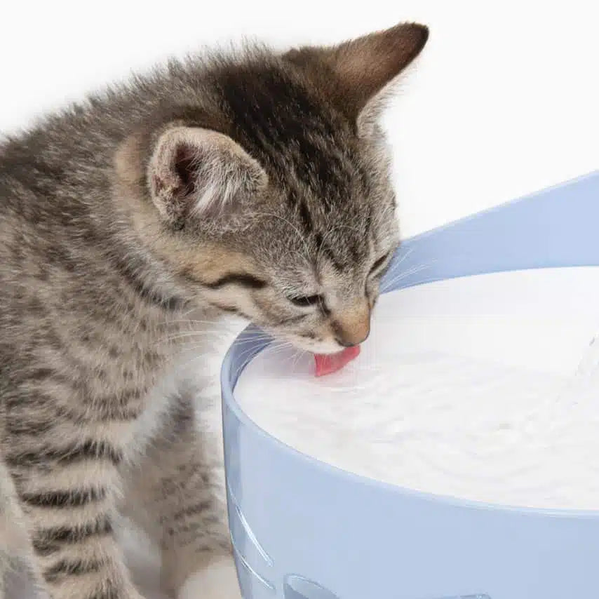 Catit Pixi Fantana pentru Pisici 2.5 L