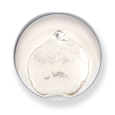 Catit Pixi Fantana pentru Pisici din Otel Inoxidabil 2.5 L