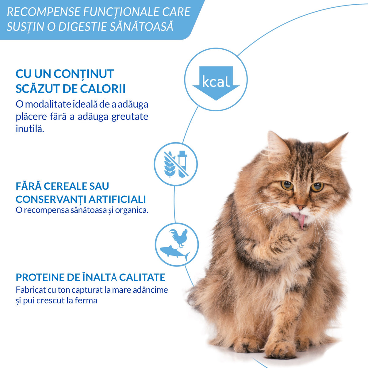 Ciao Churu Hairball Control Recompensa Cremoasa cu Somon 4x14 Gr