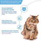 Ciao Churu Hairball Control Recompensa Cremoasa cu Somon 4x14 Gr