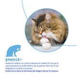 Ciao Churu Hairball Control Recompensa Cremoasa cu Somon 4x14 Gr