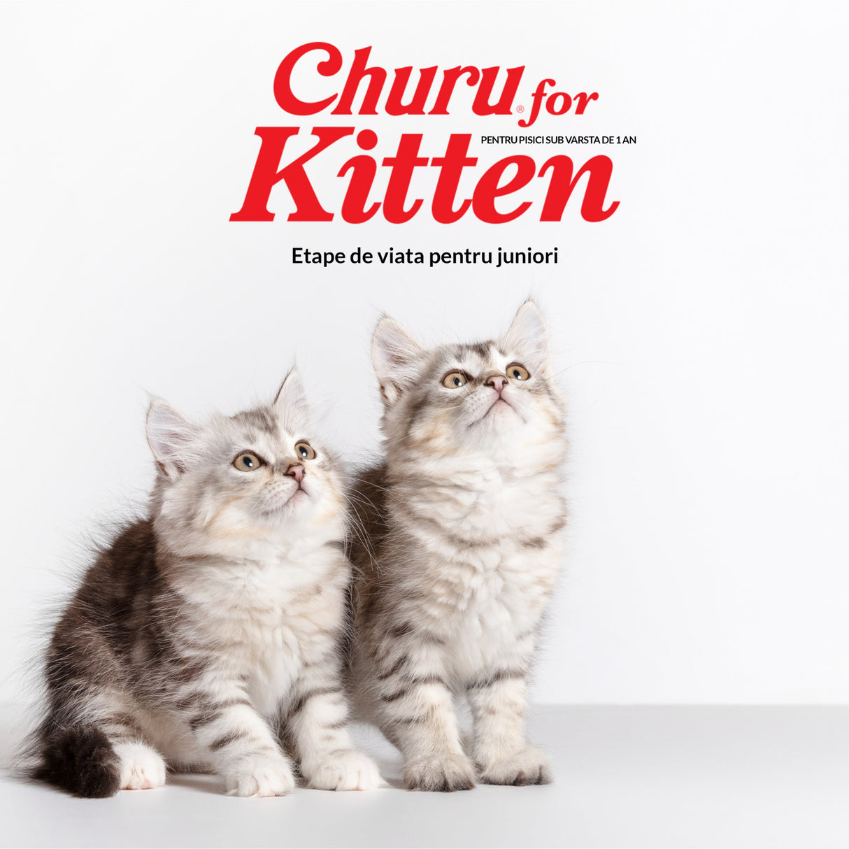 Churu Recompensa Cremoasa Kitten cu Pui