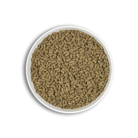 Cunipic Alpha Pro Hrana pentru Porcusori de Guineea 500 Gr