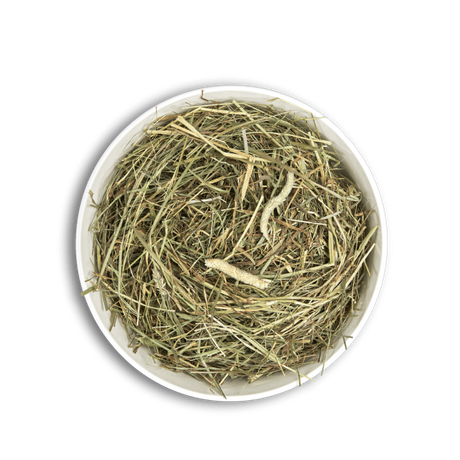 Cunipic Fan pentru Rozatoare 1 Kg