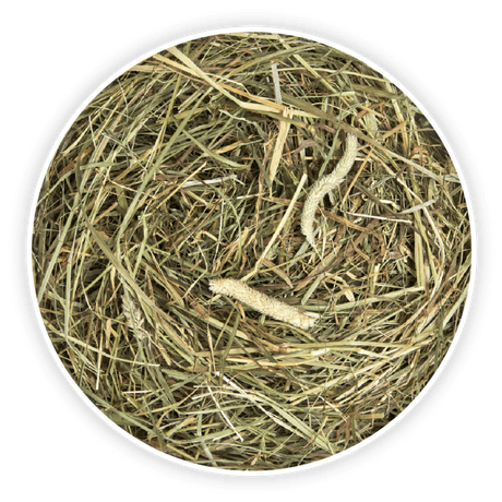 Cunipic Naturaliss Timothy Fan pentru Rozatoare 500 Gr