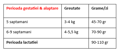 DecenT Kitten Healthy Growth cu Pui si Fructe de Mare