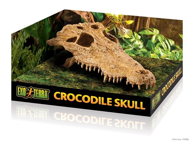 Exo Terra Decor Crocodile Skull