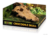 Exo Terra Decor Crocodile Skull
