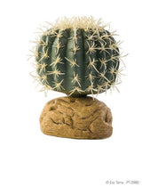 Exo Terra Planta Barrel Cactus