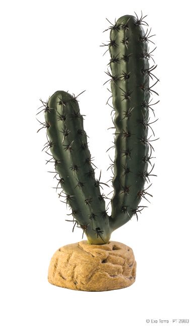 Exo Terra Planta Finger Cactus