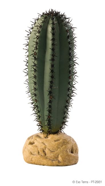 Exo Terra Planta Saguaro Cactus