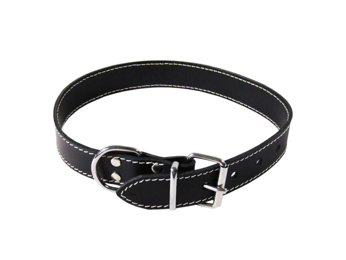 exotic-k-zgarda-caini-piele