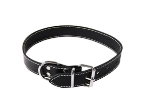 exotic-k-zgarda-caini-piele