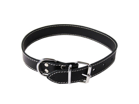 exotic-k-zgarda-caini-piele