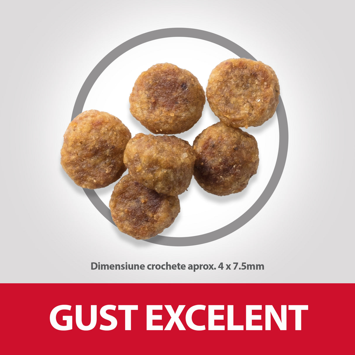 Hill's Hill's Science Plan Adult Small and Mini Lamb and Rice - imagine 3