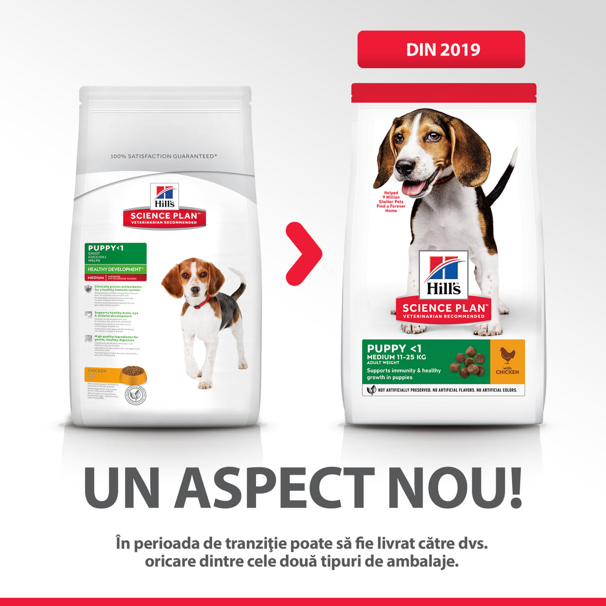 Hill's Hill's Science Plan Puppy Medium Chicken - imagine 3