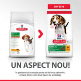 Hill's Hill's Science Plan Puppy Medium Chicken - imagine 3