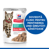 Hills SP Feline Adult Perfect Weight cu Pui si Somon 12x85 Gr