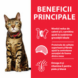Hill's Hills SP Feline Adult Light Chicken - imagine 2