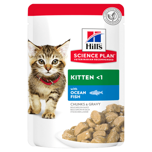 Hill's Hills SP Feline Kitten Ocean Fish Pouch