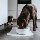 Hunter Bol Osby din Ceramica 350 ML