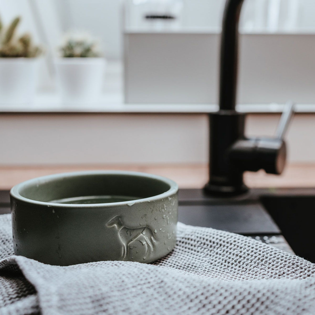 Hunter Bol Osby din Ceramica pentru Caini
