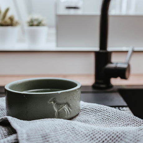 Hunter Bol Osby din Ceramica pentru Caini