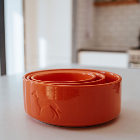 Hunter Bol Osby Glazed din Ceramica pentru Caini