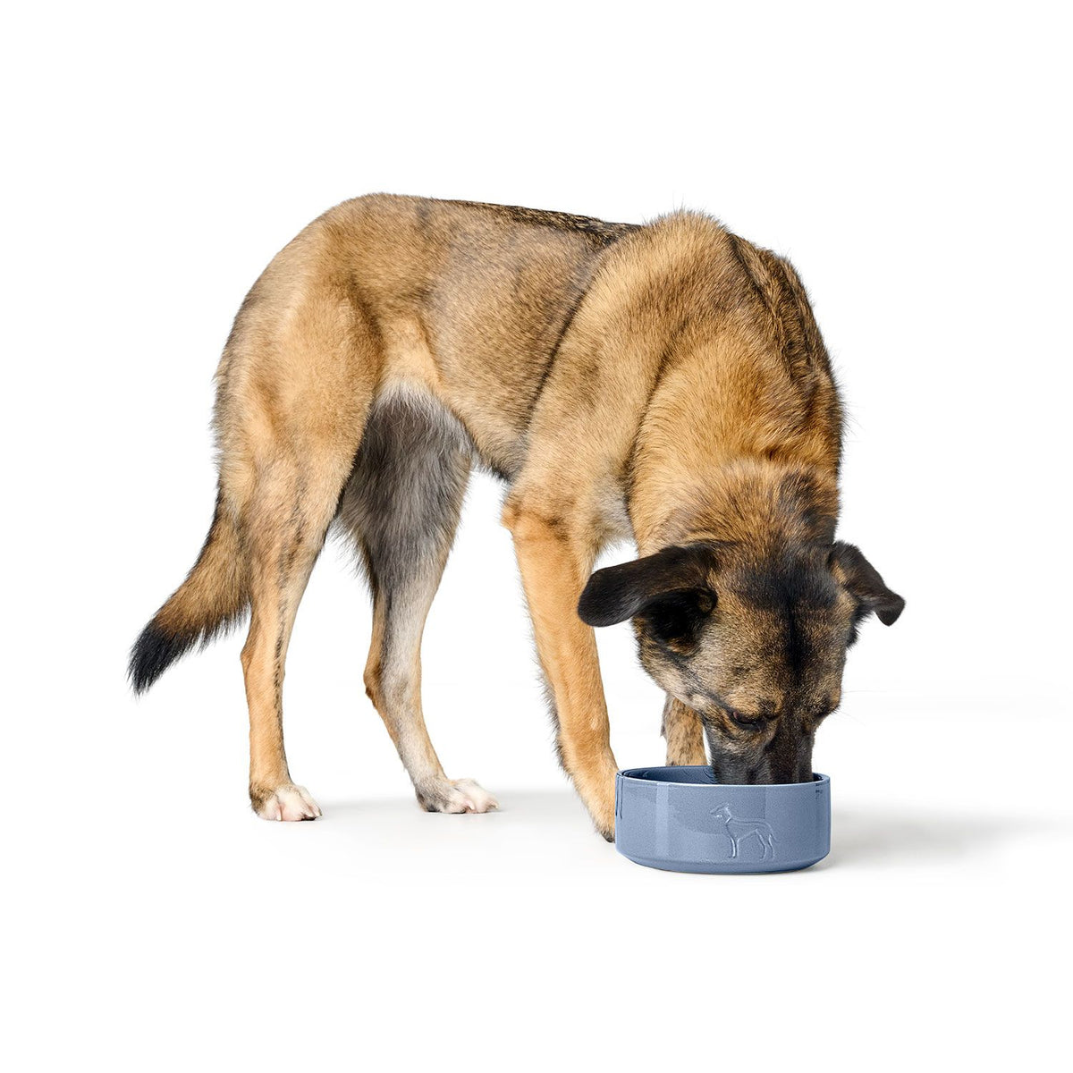 Hunter Bol Osby Glazed din Ceramica pentru Caini