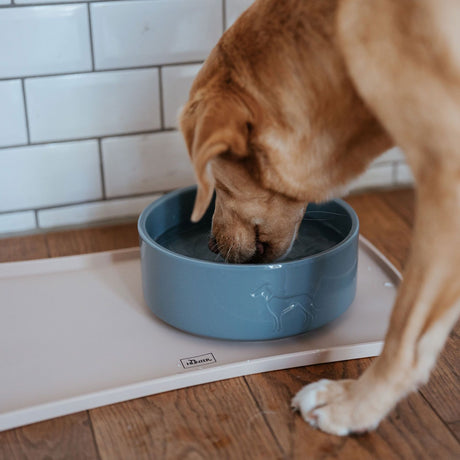 Hunter Bol Osby Glazed din Ceramica pentru Caini
