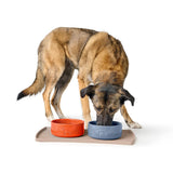 Hunter Bol Osby Glazed din Ceramica pentru Caini