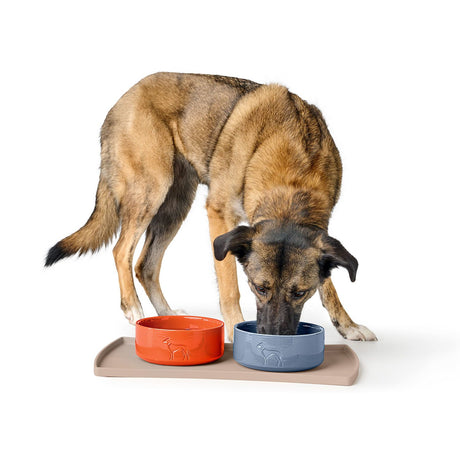 Hunter Bol Osby Glazed din Ceramica pentru Caini