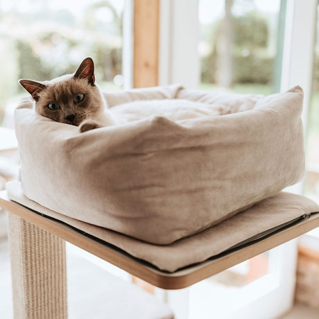 Hunter Culcus Bed Cat Dreamie S 40x40Cm