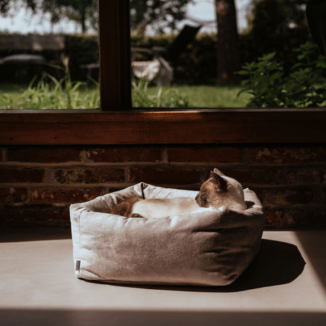 Hunter Culcus Bed Cat Dreamie S 40x40Cm
