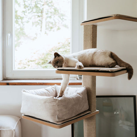 Hunter Culcus Bed Cat Dreamie S 40x40Cm