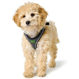 Hunter Ham Hilo Confort S-M