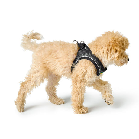 Hunter Ham Hilo Confort XS