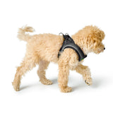 Hunter Ham Hilo Confort S